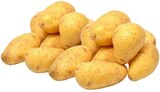 Speisekartoffeln Cilena im Angebot bei REWE in Castrop-Rauxel Speisekartoffeln Cilena Angebote von NRW HeimatProdukt REWE bei REWE Castrop-Rauxel für 1,99 €