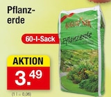 Aktuelles Pflanzerde Angebot bei Zimmermann in Bremen ab 3,49 €