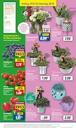 Blaubeeren Angebot im aktuellen Lidl Prospekt auf Seite 7