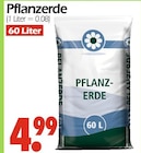 Pflanzerde Angebote bei Wreesmann Aurich für 4,99 €