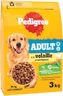 Croquettes pour chien adulte à la volaille et aux légumes - PEDIGREE - Intermarché Super à Valence Croquettes pour chien adulte à la volaille et aux légumes - PEDIGREE en promo chez Intermarché Super Valence à 5,16 €