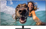 OLED-UHD-Fernseher OLED65G59LS im Angebot bei expert in Itzehoe OLED-UHD-Fernseher OLED65G59LS Angebote von LG bei expert Itzehoe für 2.799,00 €