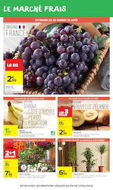 Promos Plante Verte dans le catalogue "Carrefour market" de Carrefour Market Plante Verte en promo dans le catalogue Carrefour Market à la page 20