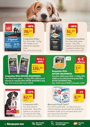 Prix et réduction Croquettes chien adulte dans le prospectus Maxi Zoo en cours Offre Croquettes chien adulte dans le catalogue Maxi Zoo du moment à la page 6