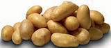 Markant Nordwest - Speisekartoffeln Angebot im Prospekt Speisekartoffeln bei Markant Nordwest im Prospekt "" für 3,88 €