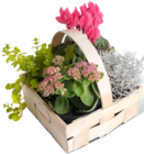 Angebot im Penny Landshut Prospekt Penny Landshut Prospekt mit im Angebot für 4,99 €