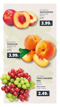 Aktueller REWE Prospekt "Dein Markt" für Bergheim Aktueller REWE Prospekt für Bergheim mit Seiten