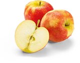 Aktuelle Äpfel Angebote bei Netto Marken-Discount in Duisburg Aktuelles Äpfel rot Angebot bei Netto Marken-Discount in Duisburg ab 1,49 €