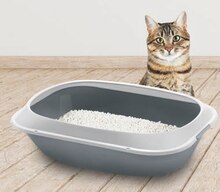 Brosse chat - Supercrack dans le catalogue Aldi Bac à litière - Supercrack à 3,99 € en promo chez Aldi
