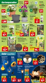 Aktueller Thomas Philipps Prospekt mit Gartenerde, "Top Angebote", Seite 9