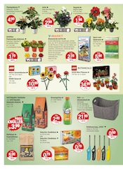 Aktueller V-Markt Prospekt mit Briketts, "V-Markt einfach besser einkaufen", Seite 16