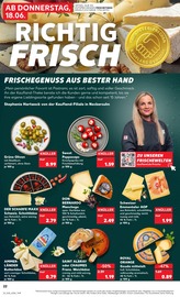 Gouda Mittelalt im Kaufland Prospekt in Salzgitter Aktueller Kaufland Prospekt mit Gouda Mittelalt, "Hier bin ich richtig", Seite 22