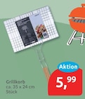 Grillkorb im aktuellen budni Prospekt