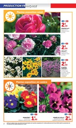 Offre Plantes dans le catalogue Super U du moment à la page 2