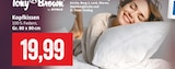 Aktuelles Kopfkissen Angebot bei Kaufhaus Stolz in Bremerhaven ab 19,99 €