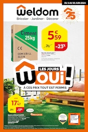 Catalogue Bricolage Weldom en cours à Boisseuil et alentours, "LES JOURS WOUI ! À CES PRIX TOUT EST PERMIS", 4 pages, 05/06/2024 - 30/06/2024