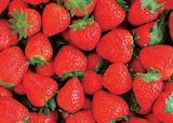 Norma Niedermodern - Promo Fraises Promo Fraises à 6,99 € dans le catalogue Norma à Niedermodern