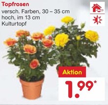 Topfrosen bei Netto Marken-Discount in Pforzheim Topfrosen im Angebot bei Netto Marken-Discount Pforzheim für 1,99 €