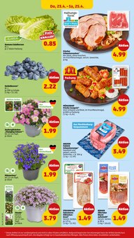 Pflanzen im Penny Prospekt "Wer günstig will, muss Penny." mit 38 Seiten (Jena)