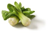 Lidl Ueckermünde - Deutscher Pak Choi Angebot im Prospekt Deutscher Pak Choi bei Lidl im Ueckermünde Prospekt für 1,29 €