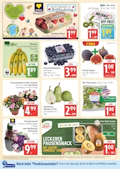 Blumen im Marktkauf Prospekt in Wismar Aktueller Marktkauf Prospekt mit Blumen, "Top Angebote", Seite 4