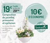 Composition de jacinthe, primevère et cyclamen - botanic dans le catalogue Botanic