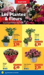 Prix et réduction Potée dans le prospectus Lidl en cours Offre Potée dans le catalogue Lidl du moment à la page 28
