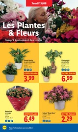 Promos Fleurs d'extérieur dans le catalogue "XXL" de Lidl à la page 28 Promos Fleurs d'extérieur dans le catalogue "XXL" de Lidl à la page 28