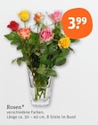 Rosen im tegut Prospekt Rosen von im aktuellen tegut Prospekt fĂŒr 3,99 âŹ