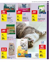 Offre Litière agglomérante chat dans le catalogue Carrefour du moment à la page 63