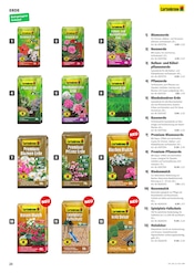 Aktueller Hagebaumarkt Prospekt mit Blumenerde, "GARTENBEDARF", Seite 20