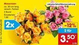 Moosrosen im Angebot bei Netto Marken-Discount in Remscheid Moosrosen Angebote bei Netto Marken-Discount Remscheid für 3,50 €
