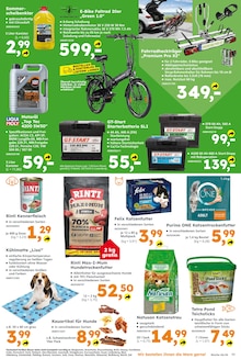 Fahrrad im aktuellen Globus-Baumarkt Prospekt (Rostock) Fahrrad im Globus-Baumarkt Prospekt "Immer eine Idee besser" mit 12 Seiten (Rostock)