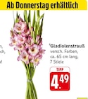 Gladiolenstrauß im Angebot bei E center in Aalen Gladiolenstrauß Angebote bei E center Aalen für 4,49 €