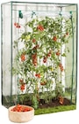 Tomatengewächshaus Angebote bei REWE Nordhorn für 12,99 €