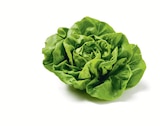 Kopfsalat mit Wurzel im Lidl Prospekt Kopfsalat mit Wurzel im aktuellen Lidl Prospekt für 1,39 €