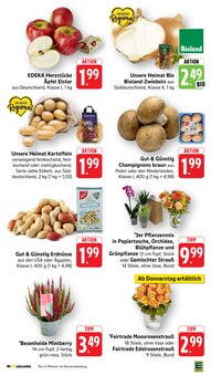 Nüsse im aktuellen EDEKA Prospekt (Mannheim) Nüsse im EDEKA Prospekt "Aktuelle Angebote" mit 40 Seiten (Mannheim)