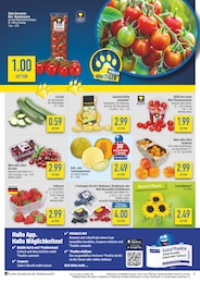 diska Blumen im Prospekt 