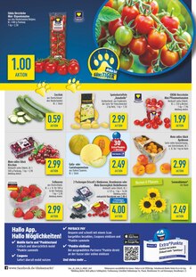 Erdbeeren im diska Prospekt "alles an deinem ort." mit 12 Seiten (Leipzig)