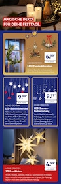 Deko Angebot im ALDI SÜD Prospekt, gültig von 01.11.2025 bis 30.11.2025 Deko Angebot im aktuellen ALDI SÜD Prospekt auf Seite 3