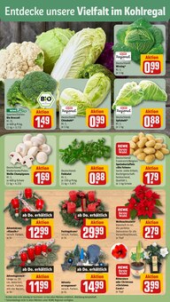 Pflanzen im aktuellen REWE Prospekt (Aachen) Pflanzen im REWE Prospekt "Dein Markt" mit 26 Seiten (Aachen)