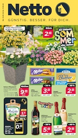 Netto mit dem Scottie Discounter Prospekt der aktuellen Woche mit 38 Seiten, gültig von 12.05.2025 bis 17.05.2025, in Nietwerder und Umgebung Aktueller Netto mit dem Scottie Discounter Prospekt in Nietwerder und Umgebung, "Günstig. Besser. Für Dich." mit 38 Seiten, 12.05.2025 - 17.05.2025