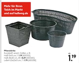Pflanzkörbe für 1,19 € bei Hellweg im Angebot Pflanzkörbe im aktuellen Hellweg Prospekt