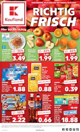 Kaufland Supermarkt Prospekt der aktuellen Woche mit 59 Seiten, gültig von 02.01.2026 bis 07.01.2026, in Bad Sooden-Allendorf und Umgebung Aktueller Kaufland Supermarkt Prospekt in Bad Sooden-Allendorf und Umgebung, "Aktuelle Angebote" mit 59 Seiten, 02.01.2026 - 07.01.2026