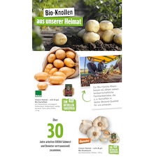 Knoblauch im Marktkauf Prospekt "Aktuelle Angebote" mit 97 Seiten (Stuttgart)