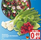 Aktuelles Lauchzwiebeln oder Radieschen Angebot bei EDEKA in Potsdam ab 0,49 €