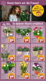 Korb Angebot im aktuellen REWE Prospekt auf Seite 4