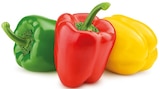 REWE - Paprika Mix Angebot im Prospekt Paprika Mix bei REWE im Prospekt "" für 1,79 €
