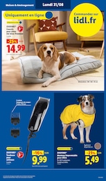 Prix et réduction Coussin dans le prospectus Lidl en cours Offre Coussin dans le catalogue Lidl du moment à la page 47