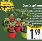 Gemüsepflanzen Angebote bei EDEKA Ingolstadt für 1,99 €